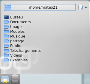L'explorateur QuickAccess